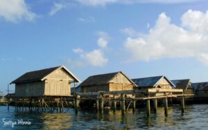 Wakatobi
