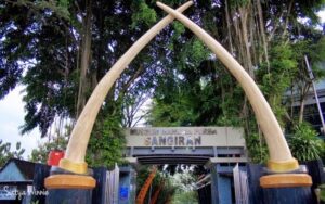 Museum Manusia Purba