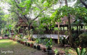 Belajar Alam