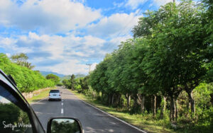 Pesona-Tambora-Dompu