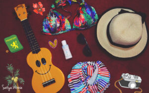 Satya-Traveling-Essential