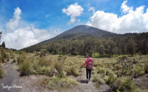 Satya Winnie di Gunung Semeru