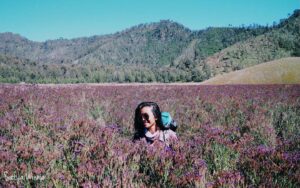 Perempuan yang memesona
