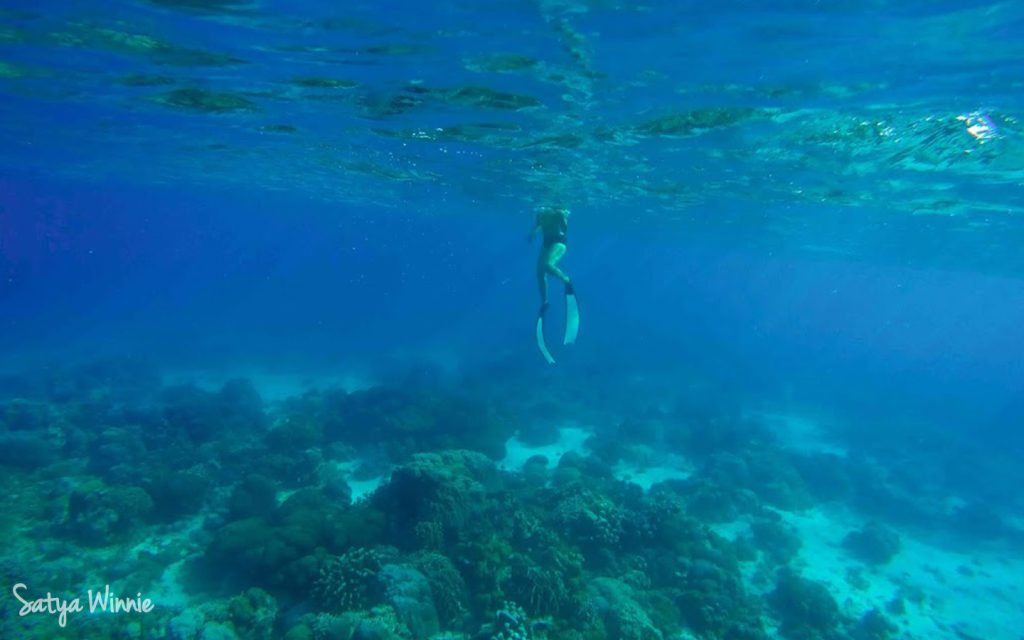 Snorkeling di Pulau Liukang Loe