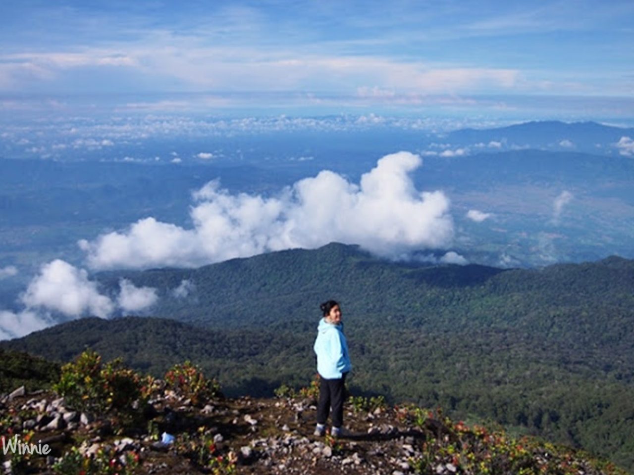 Latar Hutan Ciremai