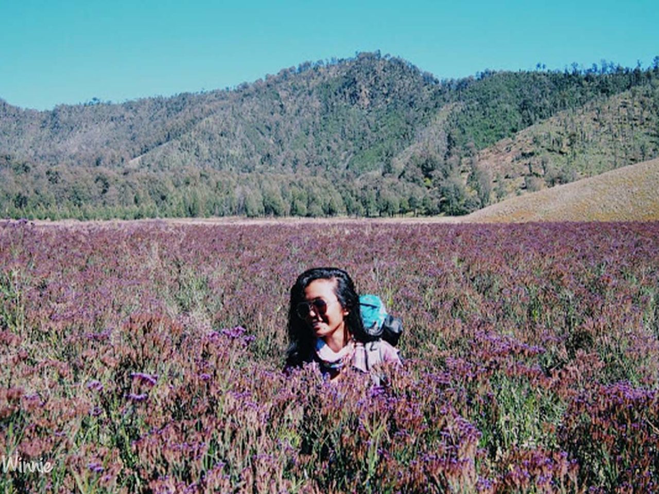 Perempuan yang memesona