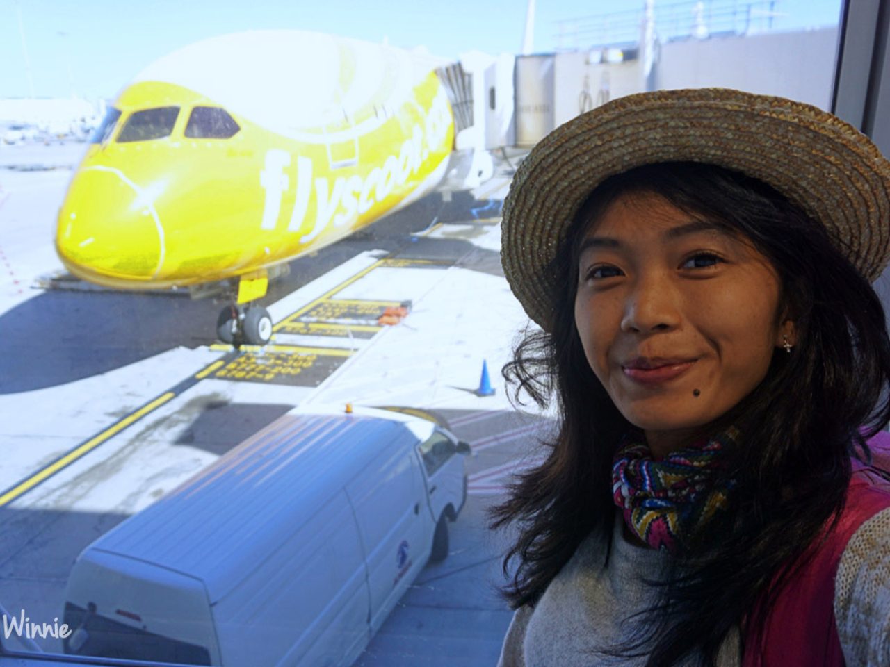Scoot-Airline